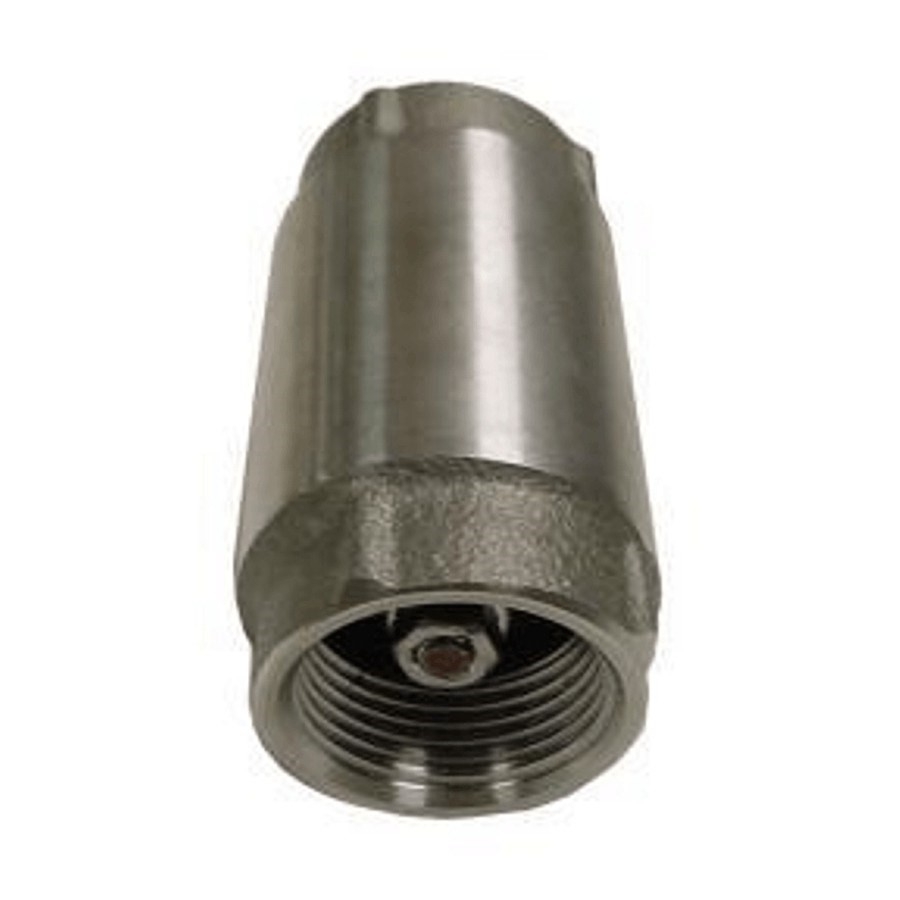 Clapet antiretour de 1 po en acier inoxydable