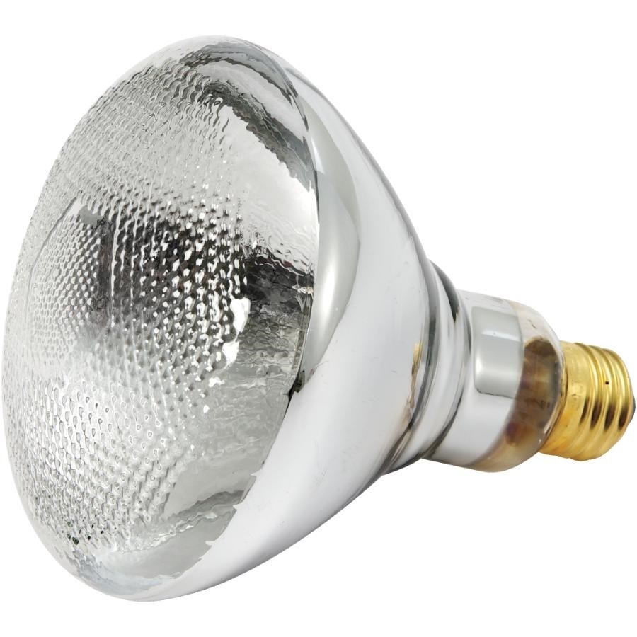 Ampoule PAR38 de 100 W à faisceau large à culot moyen pour l'intérieur et l'extérieur, transparent