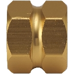 Raccord femelle 3/4 po et IPS femelle 3/4 po en laiton pour tuyau d'arrosage