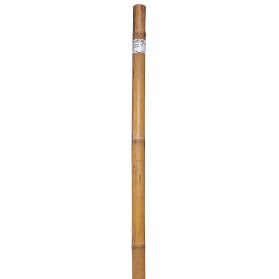 Bâton en bambou de 1,25 po x 6 pi