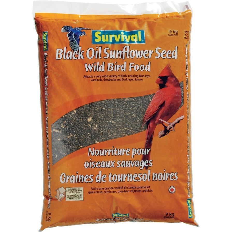 Graines de tournesol noires pour oiseaux, 9 kg